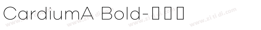 CardiumA Bold字体转换